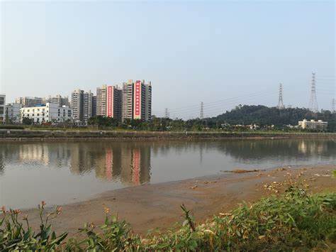 治理后的茅洲河早已是綠草茵茵白鷺翩飛2