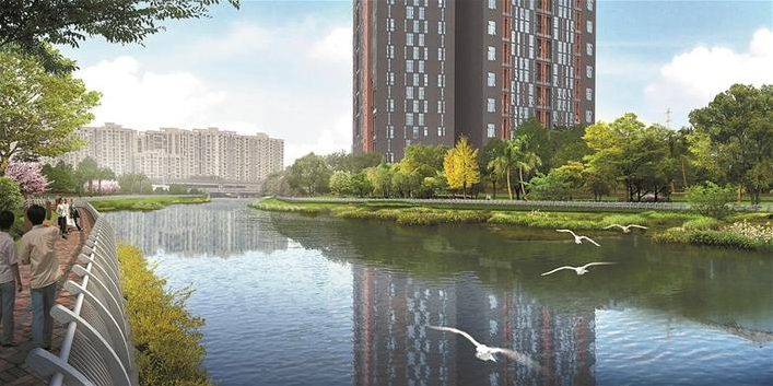 治理后的茅洲河早已是綠草茵茵白鷺翩飛3