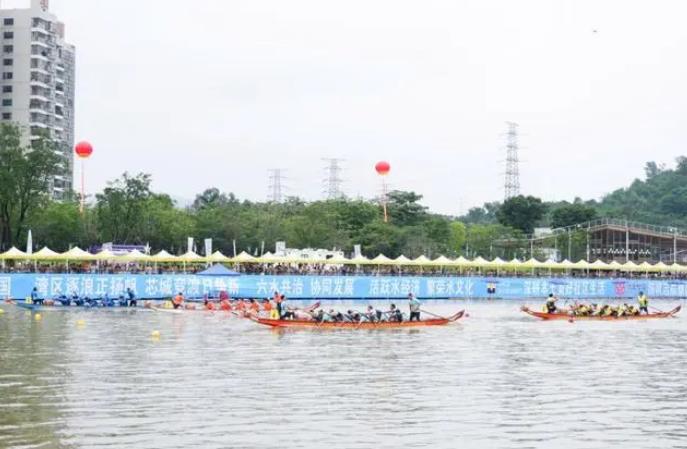 茅洲河上賽龍舟
